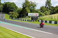 Middle Group Red Bikes